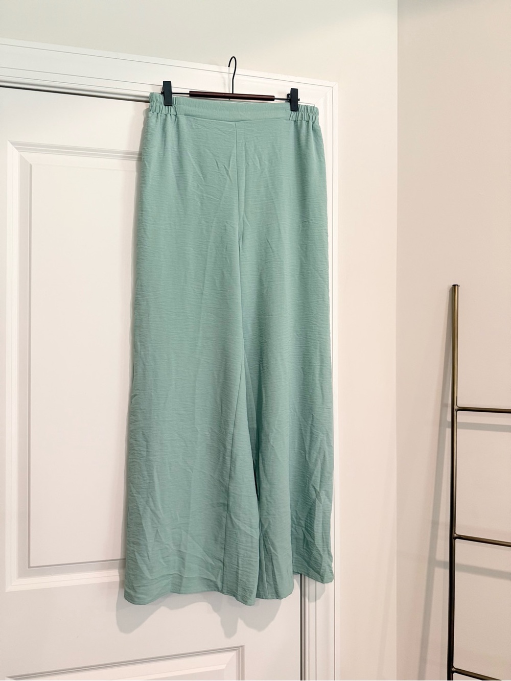 NWOT Wide-Leg Pull-On Pants in Mint Green